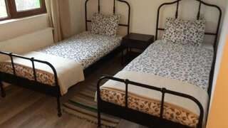 Фермерские дома Pensiunea Silva Luncaviţa Стандартный двухместный номер с 2 отдельными кроватями-4